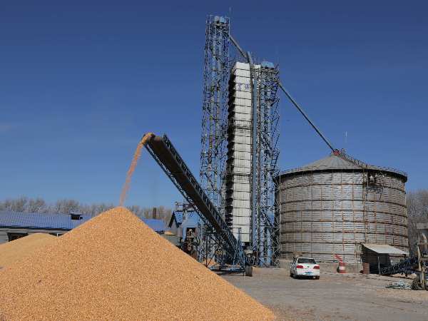 燒煤改燒秸稈大包直燃熱風爐，烘干成本省一半